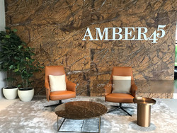 Amber 45 (D15), Apartment #190959092